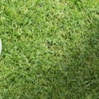 Susan G. Komen Golf Tournament in Owasso July 27th