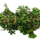 Owasso FREE yard waste disposal days