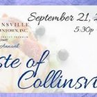 16th Annual Taste of Collinsville to be held September 21st