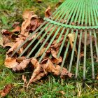 City of Owasso has announced “Free Yard Waste Disposal Month” for all of November