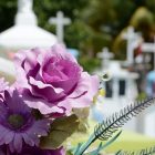 Fairview Cemetery Spring Maintenance Flower Removal